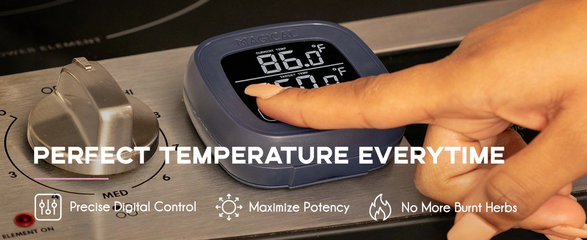 Magical DecarBox Thermometer Combo Pack